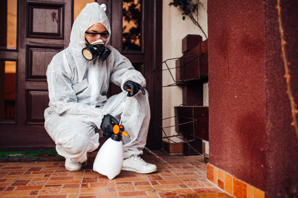 Reliable Termite Control contractor in Loomis, CA by Nex Pest Control